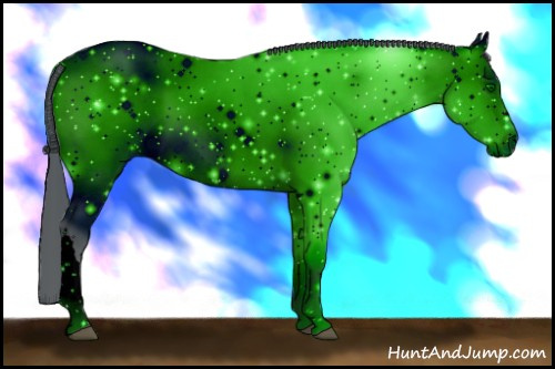 Horse Color: ERROR: UNKNOWN ANOMALY