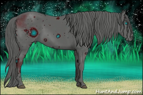 Horse Color: ERROR: UNKNOWN ANOMALY