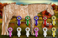 Horse Color:Cremello  Brindle