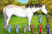 Horse Color:Buckskin Dun Splash 
