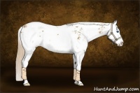 Horse Color:Chestnut Sabino Splash 