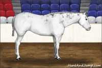 Horse Color:Black Sabino Splash 