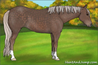 Horse Color:Silver Black 