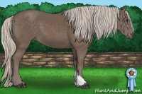 Horse Color:Silver Black 