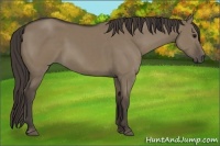 Horse Color:Smoky Grullo 