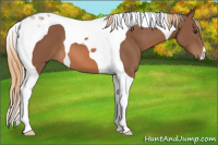 Horse Color:Liver Chestnut Tobiano 