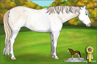 Horse Color:White Spotted Perlino Dun Splash 