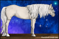 Horse Color:Cremello 