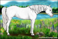 Horse Color:Silver Grullo Roan Appaloosa 
