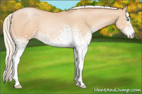Horse Color:White Spotted Chocolate Palomino Pearl 