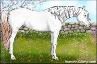 Horse Color:Amber Champagne Dun Appaloosa