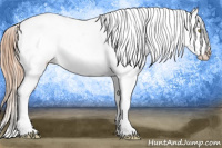 Horse Color:Gold Champagne Splash Near Leopard 