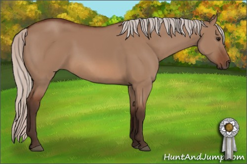 Horse Color: Silver Bay Dun 