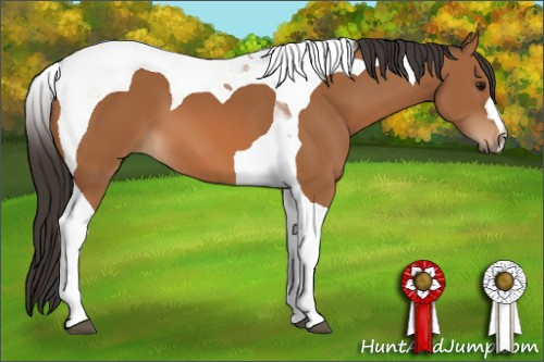 Horse Color: Bay Tobiano 