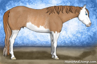 Horse Color:Chestnut Sabino Splash Rabicano 
