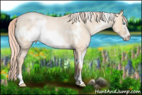 Horse Color:White Spotted Chocolate Palomino Roan Pearl Dun Frame