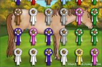 Horse Color:Bay Pearl Sabino