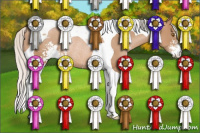 Horse Color:Silver Black Pearl Sabino Tobiano Rabicano 