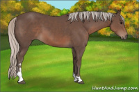 Horse Color:Silver Black Sabino 
