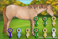 Horse Color:Chestnut Pearl