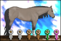 Horse Color:Grullo 