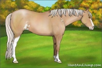 Horse Color:Silver Black Pearl Sabino 