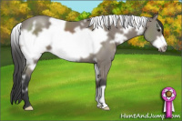 Horse Color:White Spotted Black Frame 