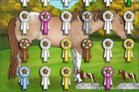 Horse Color:Brown Pearl Sabino Tobiano 