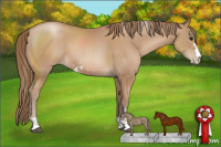 Horse Color:Black Pearl Sabino 