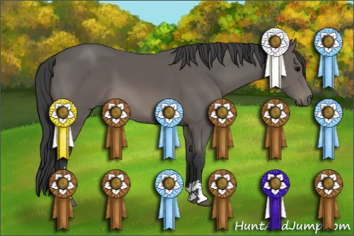 Horse Color: Black Sabino 