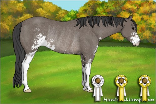 Horse Color: Black Sabino Rabicano 