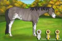 Horse Color:Black Sabino Rabicano 