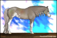 Horse Color:Silver Black Sabino