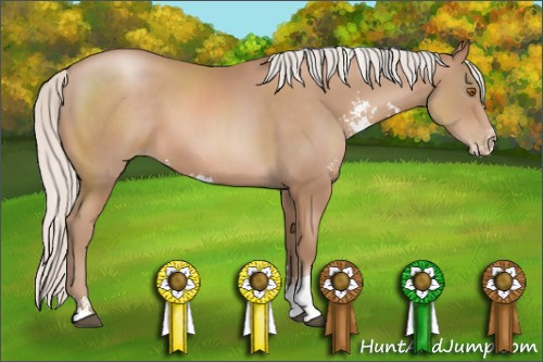 Horse Color: Silver Black Pearl Sabino 