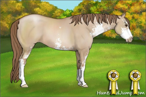 Horse Color: Grullo Pearl Sabino 