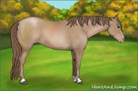 Horse Color:Black Pearl 