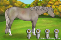 Horse Color:Silver Grullo 
