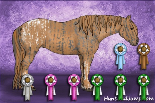 Horse Color: Black Blanket  Brindle