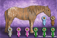 Horse Color:Black Appaloosa  Brindle