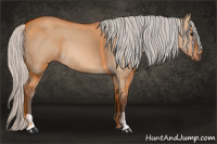 Horse Color:Silver Bay Dun