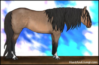 Horse Color:Bay Dun
