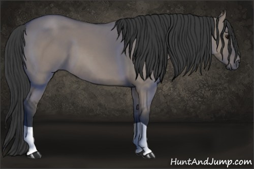 Horse Color: Grullo 