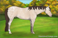 Horse Color:Amber Champagne Ice Dun 