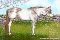 Horse Color:White Spotted Liver Red Roan Frame 