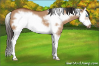 Horse Color:Bay Dun Splash Frame