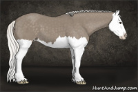 Horse Color:Silver Smoky Grullo Splash