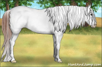 Horse Color:Bay Splash Tobiano Snowcap 