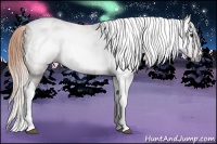 Horse Color:Gray Chestnut Tobiano 