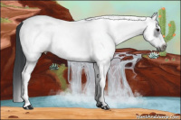 Horse Color:White Spotted Black Frame 