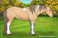 Horse Color:Buckskin Sabino Tobiano Varnish 